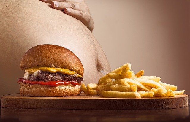 a-big-fat-abdomen-junk-food
